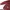 Stussy Minimalist Casual Hoody Pria multicolor gold silver purple burgundy white green tan navy red pink brown khaki black orange gray cream blue yellow photo 8