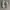 VANS Skater Sneakers Pria white black photo 3