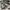 Dickies Streetwear Sportswear Hoody Pria gray photo 2