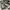 Dickies Streetwear Sportswear Hoody Pria Gray