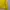 Pancoat Streetwear Sportswear Hoody Pria yellow photo 7