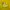 Pancoat Streetwear Sportswear Hoody Pria yellow photo 6