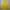 Pancoat Streetwear Sportswear Hoody Pria yellow photo 8
