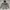 Pullover Vans Classic Hoodie photo 3