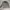Pullover Vans Classic Hoodie photo 5