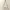 Coach Coquette Casual Shoulder Bag Wanita White