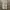 Vintage Y2K Casual pants Pria gray photo 1