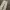 Vintage Y2K Casual pants Pria cream photo 4