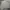 Polo Ralph Lauren Streetwear Casual Windbreaker Pria gray photo 3