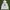 Supreme Streetwear Luxury Hoody Pria white photo 1