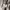 Casual Hoody Pria gray photo 5