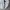 Grooverhyme Hoody Pria white gray photo 5