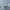 Grooverhyme Hoody Pria white gray photo 6