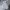 Grooverhyme Hoody Pria white gray photo 1