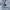 Grooverhyme Hoody Pria white gray photo 4