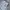 Grooverhyme Hoody Pria white gray photo 2
