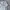 Grooverhyme Hoody Pria white gray photo 3