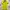 Polo Ralph Lauren Luxury Shirt Wanita green yellow photo 1