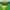 Polo Ralph Lauren Luxury Shirt Wanita green yellow photo 4