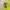 Polo Ralph Lauren Luxury Shirt Wanita green yellow photo 6