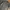 Vintage Casual Windbreaker Pria gray photo 5