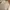 Kansai Yamamoto Vintage Casual Blazer Pria cream photo 5