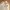 Kansai Yamamoto Vintage Casual Blazer Pria cream photo 2