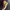 Converse Grunge Sneakers Pria yellow photo 2