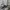 Vintage Sweater Pria gray photo 5