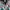 Roxy Sportswear Parka Kids multicolor photo 2