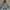 Roxy Sportswear Parka Kids Multicolor