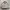 Streetwear Casual Puffer jacket Pria gray photo 1