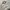 Streetwear Casual Puffer jacket Pria gray photo 3