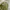 JanSport Casual Bag Pria green photo 3
