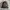 Salomon Sportswear Bag Pria black photo 1