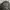 Salomon Sportswear Bag Pria black photo 3