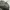 Salomon Sportswear Bag Pria black photo 6