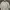 Carhartt Luxury T-shirt Pria cream photo 1
