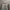 Adidas Y2K Hoody Pria gray photo 1