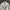 Adidas Luxury Bomber jacket Pria white photo 1