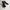 Converse Sneakers Pria Black