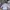 Uniqlo Casual Fleece Pria purple white photo 5