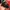 Vintage Streetwear Hat Pria black photo 3