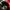 Vintage Streetwear Hat Pria black photo 5