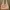 H&M Y2K Minimalist Crop top Wanita multicolor photo 1
