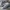 Nike Streetwear Sportswear Sneakers Pria silver white gray photo 2
