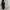 Alexander McQueen Luxury Sportswear Sneakers Pria white black photo 2