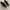 Alexander McQueen Luxury Sportswear Sneakers Pria white black photo 1