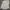 Partimento Minimalist Casual Formal shirt Pria white photo 5