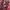 Y2K Bodysuit Wanita red photo 2